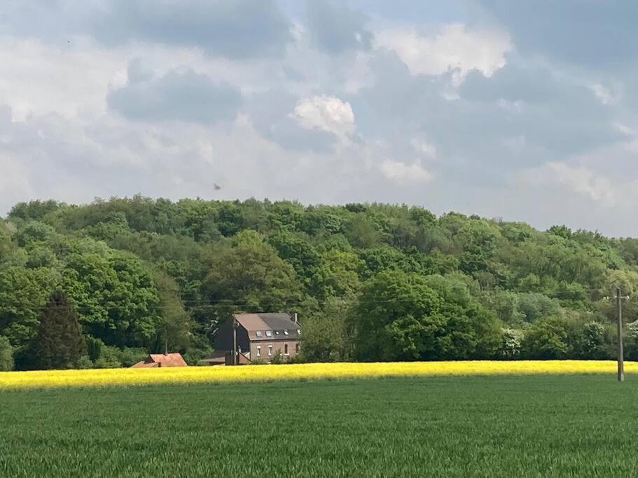 Au Bois D'Epenin - Gite Et Spa Beugin Luaran gambar